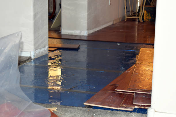 Professional Water Damage Restoration technician working in New Hudson, MI