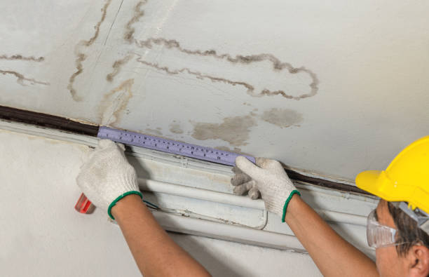 Reliable Water Damage Restoration contractor in New Hudson, MI by Local Water Damage Repair
